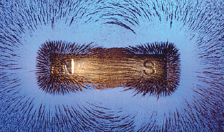 Magnetic Nanoparticles as Nano-Quantum Sensors in Neurobiology